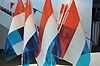 netherland-flags-100.jpg